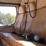 Image of AS350 Single Squirrel 2