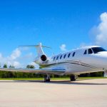 Image of Citation VII 2