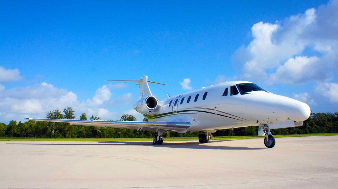Image of Citation VII 1