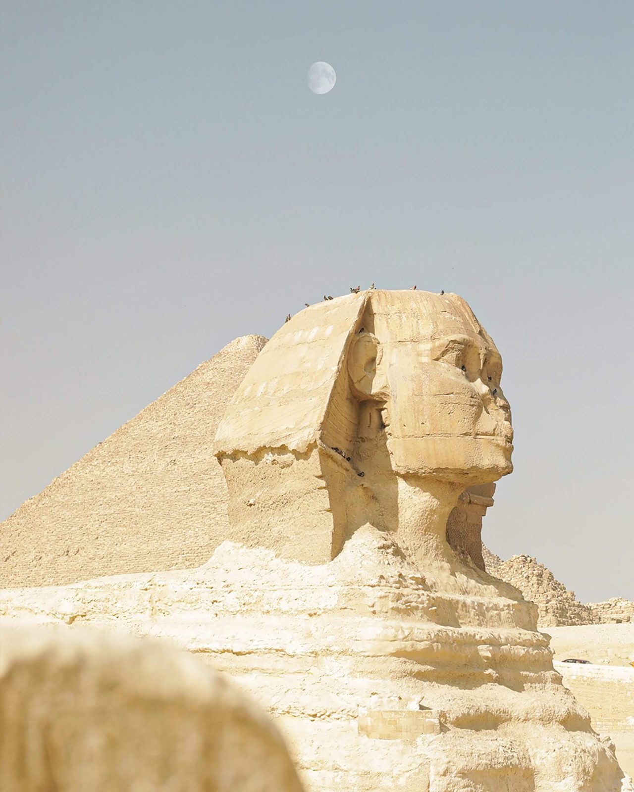 Image of Great Sphinx Of Giza
