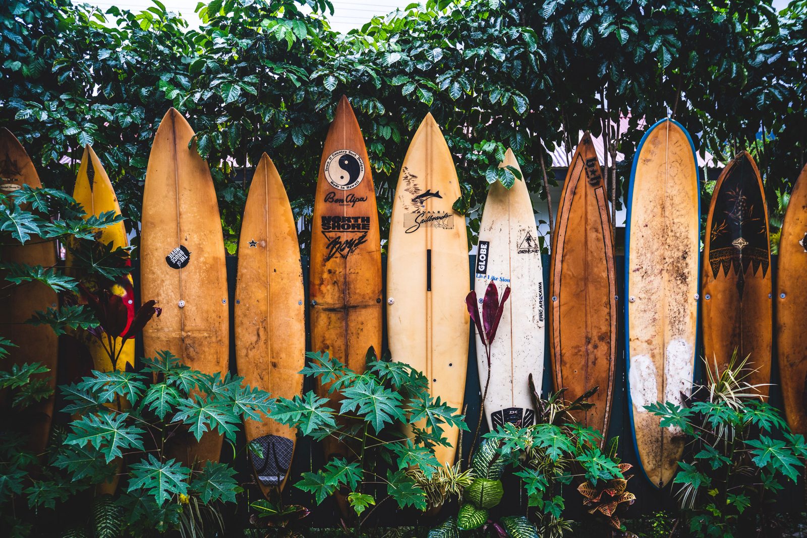 Image of Hawaii 3