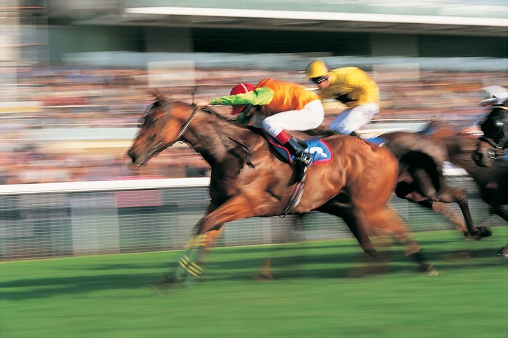 Image of Dubai World Cup 2020 1