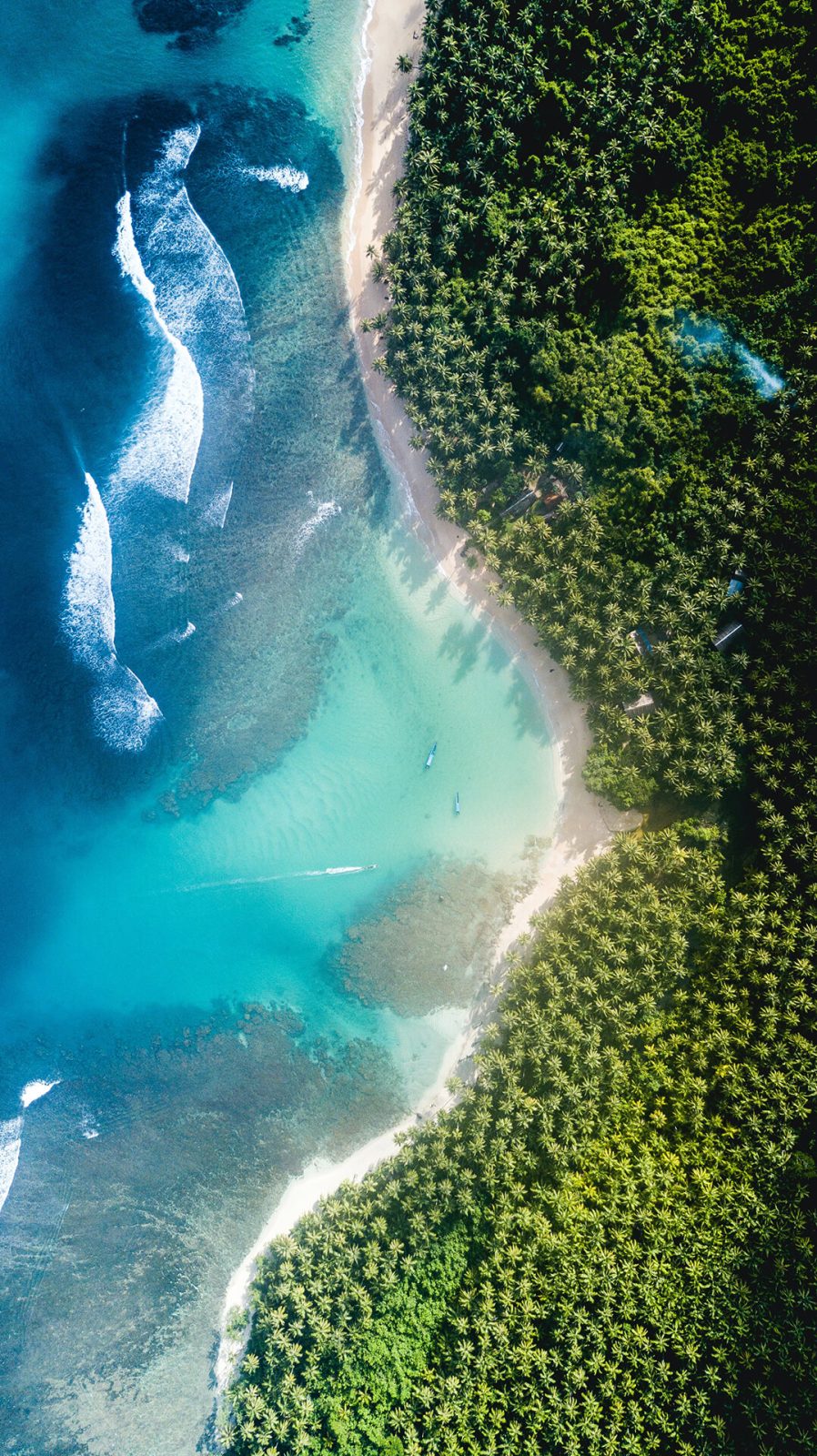 Image of James Donaldson ToPRrcyAIUY Unsplash 1