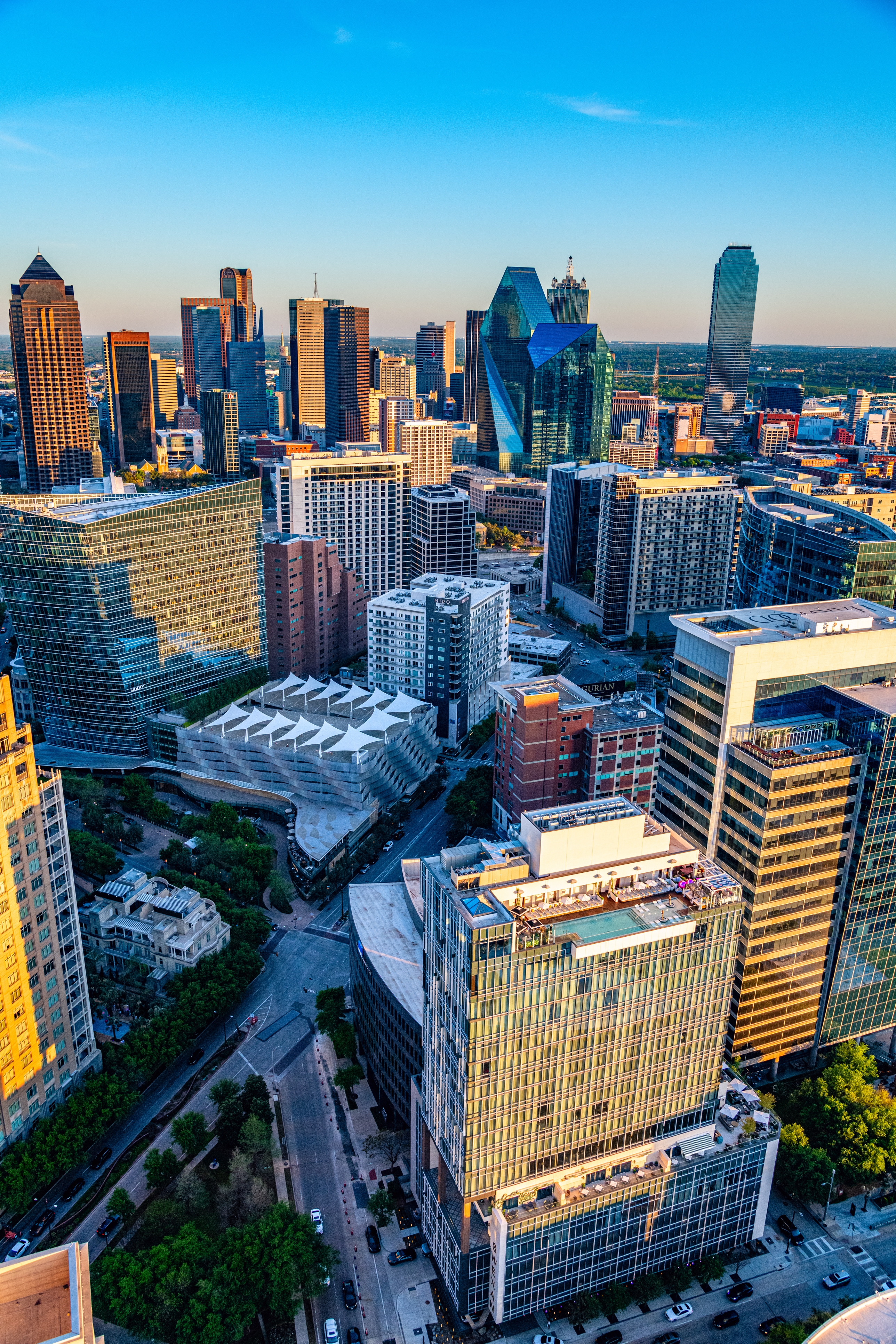 Image of Dallas Skyline Aerial