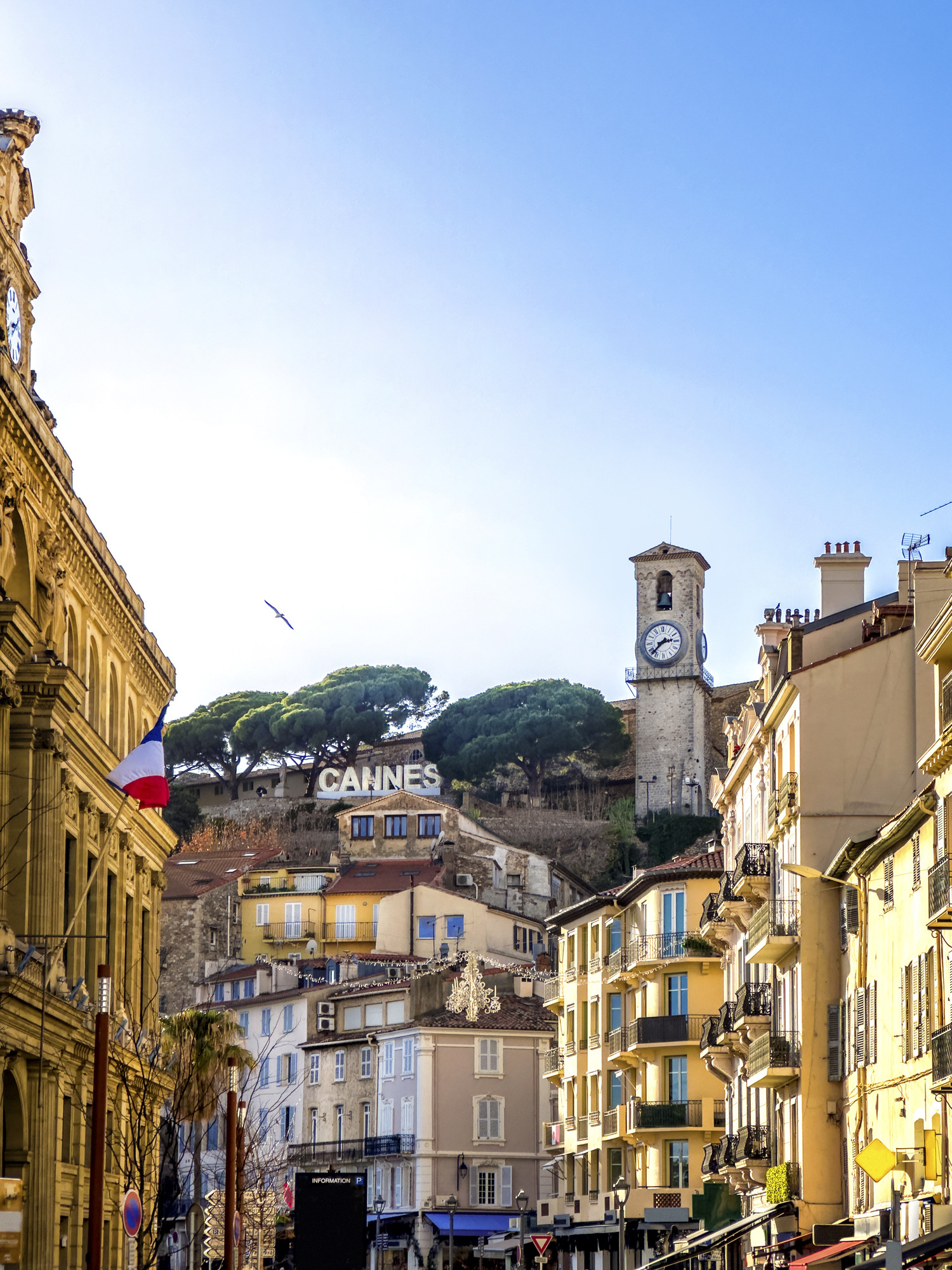 Image of Cityscape Of Cannes France