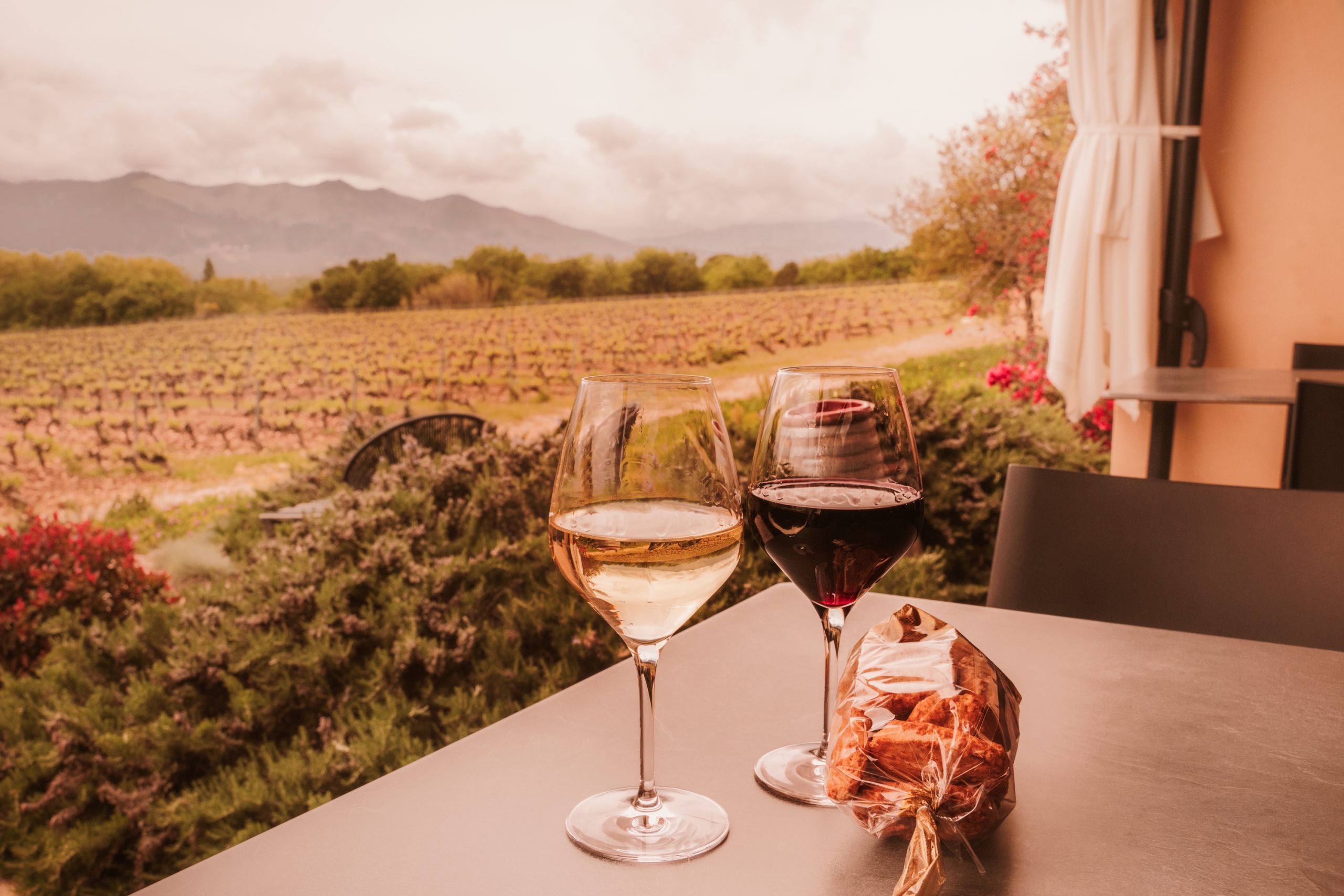Image of Vineyard Landscape Scaled