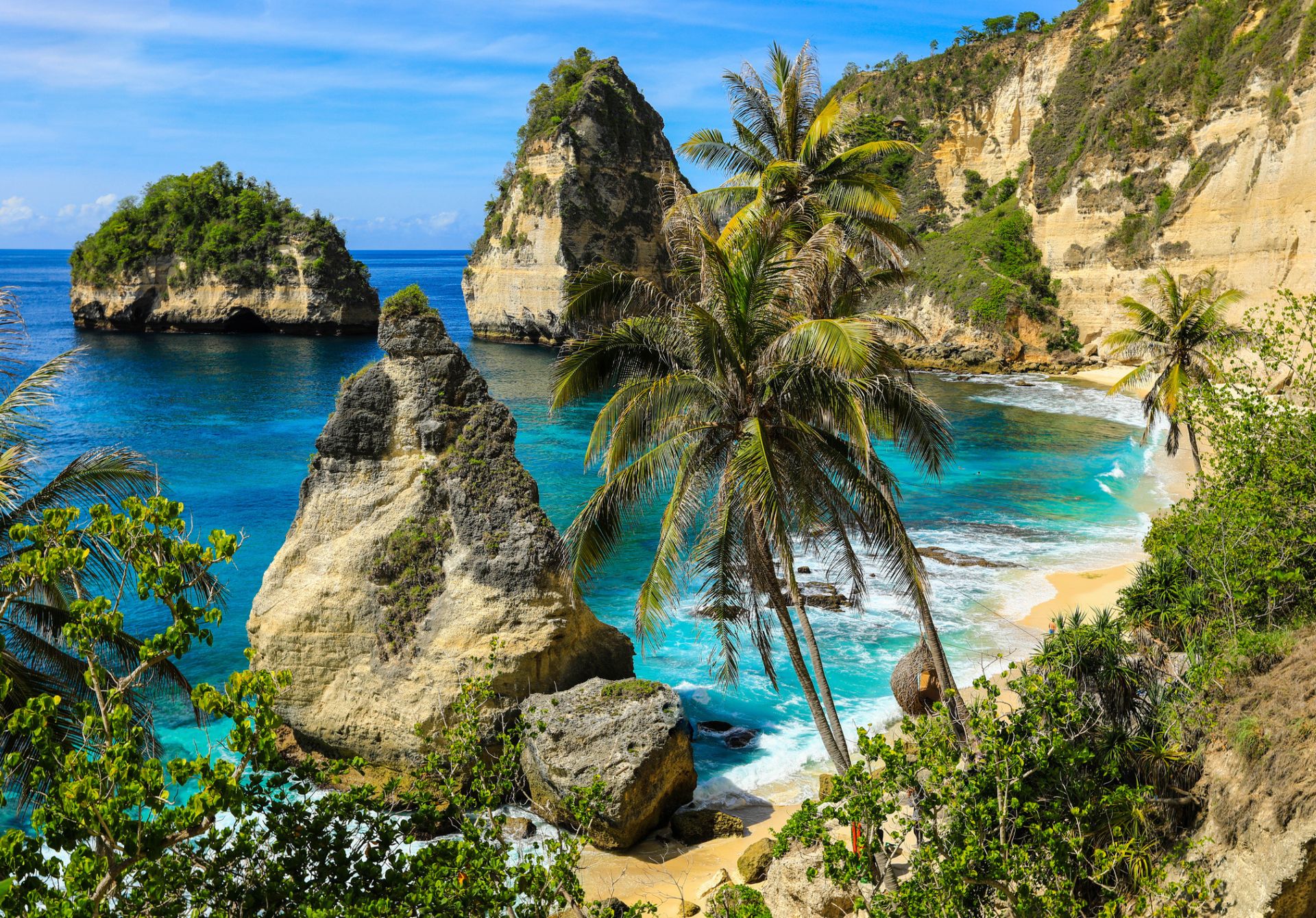 Image of Tropical Beach In Bali