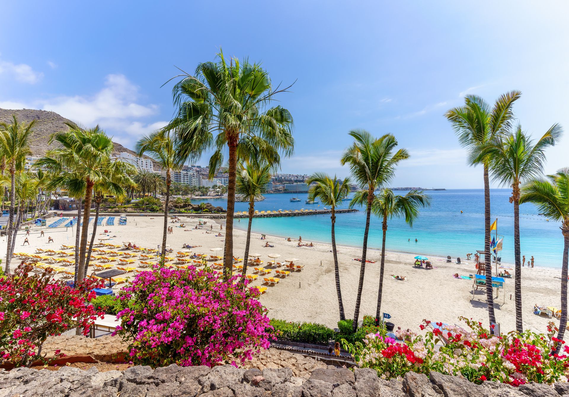 Image of Landscape With Anfi Beach Gran Canaria